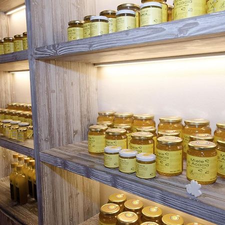 Agriturismo Due Comuni San Gervasio Екстериор снимка
