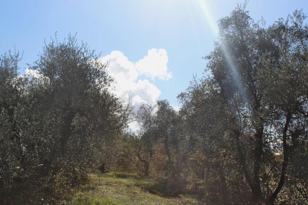 Agriturismo Due Comuni San Gervasio Екстериор снимка